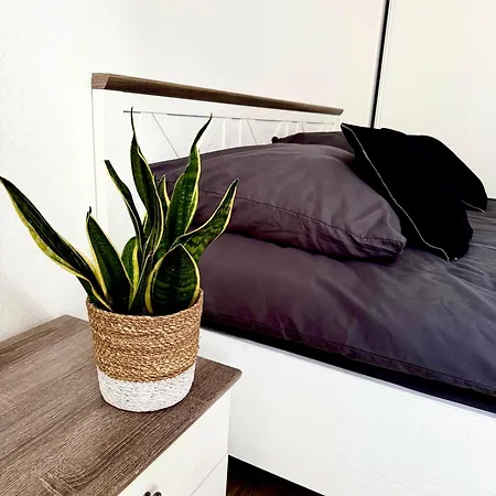 Mailo & Parking * גדנסק