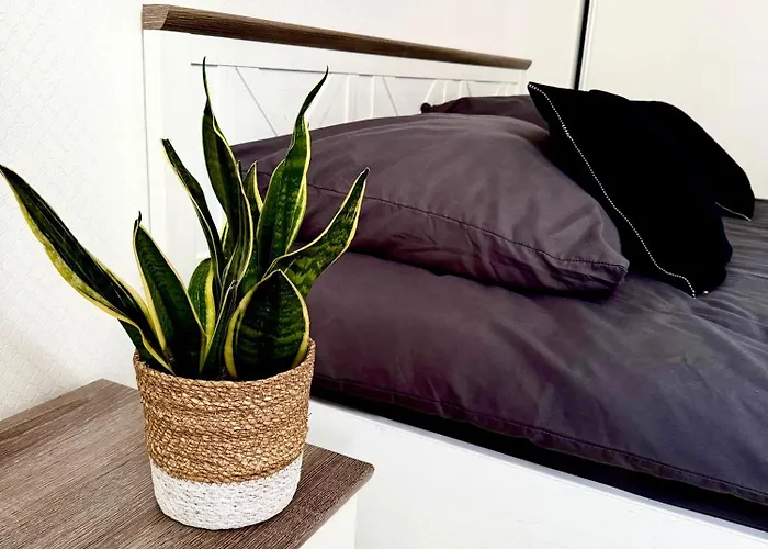 Mailo & Parking * グダニスク